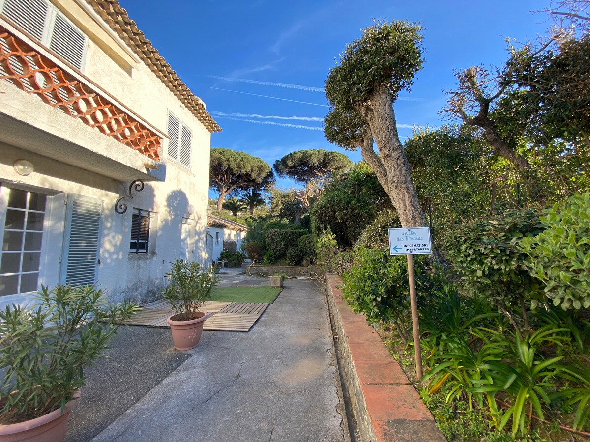 A pathway lined with potted plants leads past a residence surrounded by well-maintained gardens. Tall trees and lush greenery enhance the outdoor setting, while the clear blue sky provides a serene backdrop. The space reflects a calm and inviting environment.