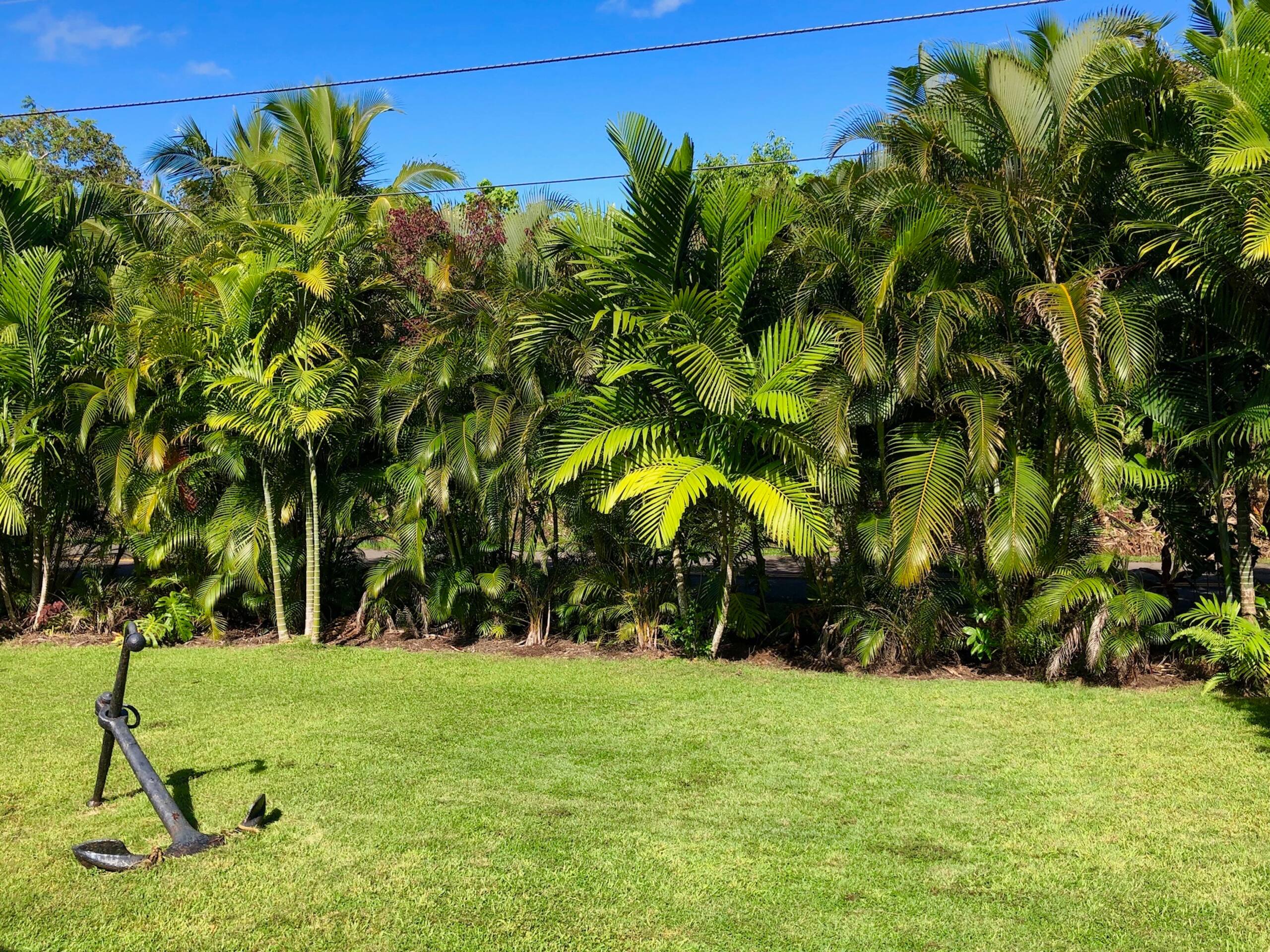 Home in Pahoa · ★4.86 · 1 bedroom · 1 bed · 1 bath - Image 23