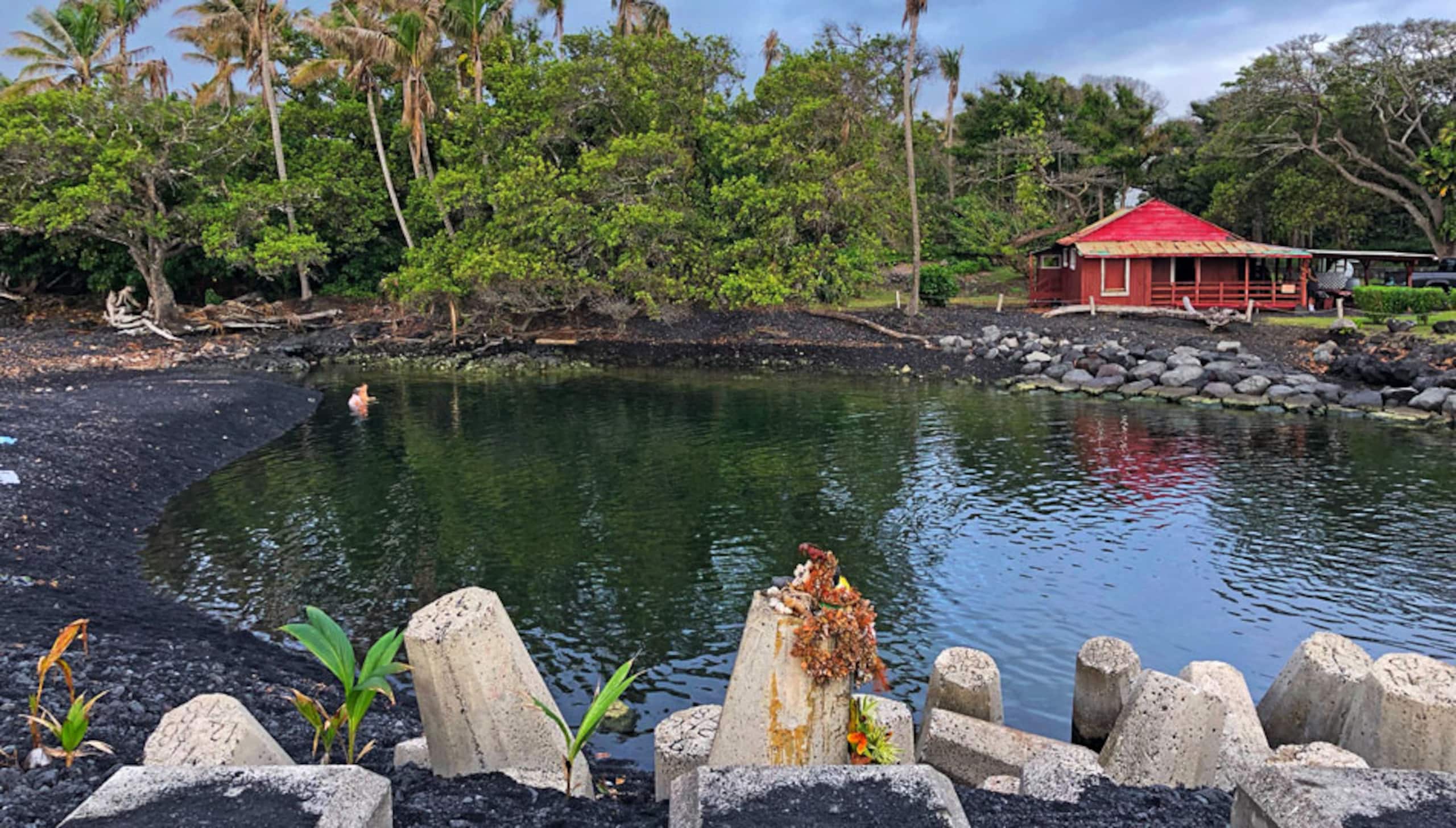 Home in Pahoa · ★4.86 · 1 bedroom · 1 bed · 1 bath - Image 51