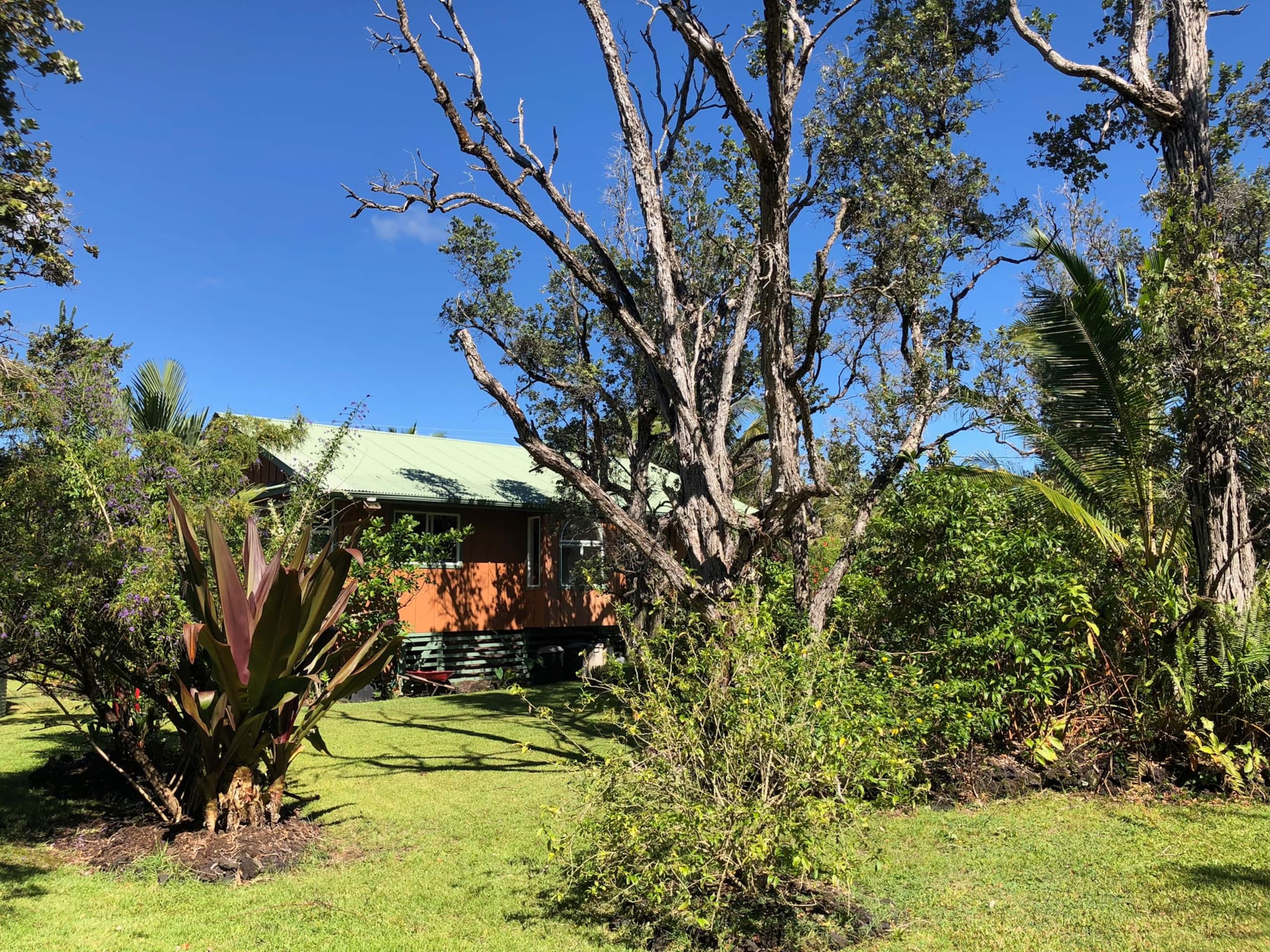 Home in Pahoa · ★4.86 · 1 bedroom · 1 bed · 1 bath - Image 18