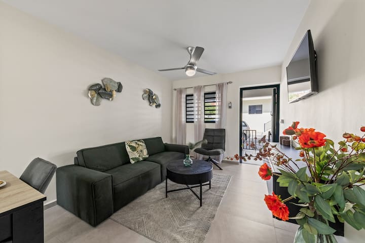 Apartment W/pool•prime Location•near Mambo Beach#5 - Curazao