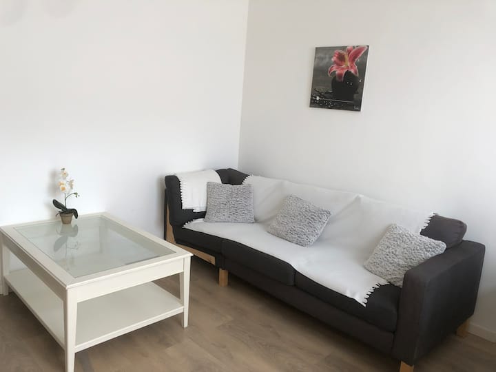 Lumineux Appartement Une Chambre - Braine-l'Alleud