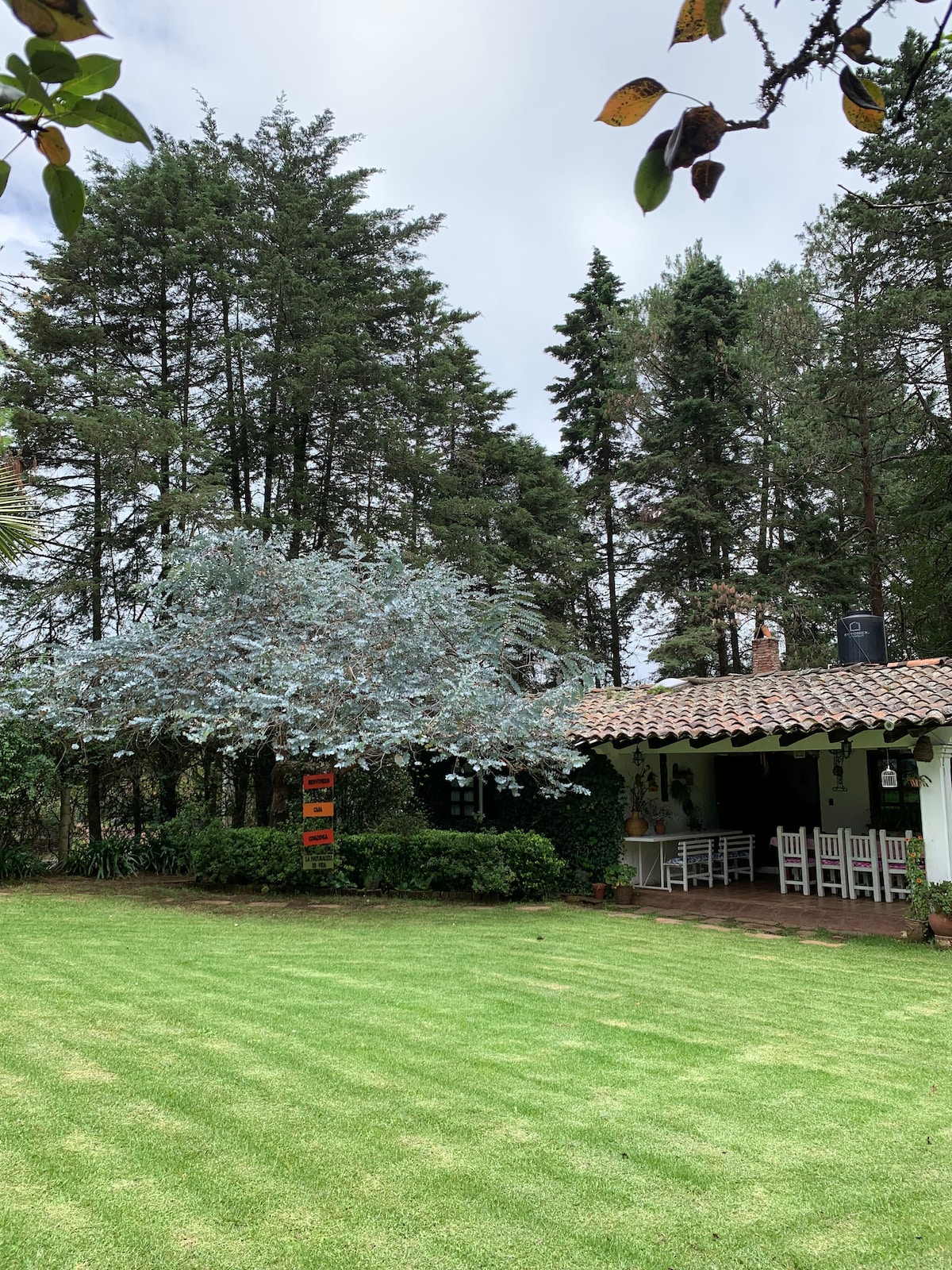 The exterior of the cabin is framed by lush trees and a well-maintained lawn. A covered patio with white chairs and a table is visible, providing a shaded area for relaxation. The traditional roof and lush greenery create a welcoming environment.