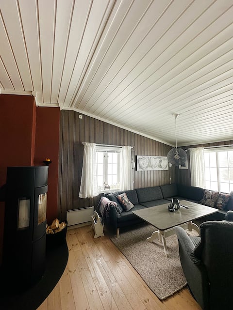 Large family cabin centrally located at Sjusjøen