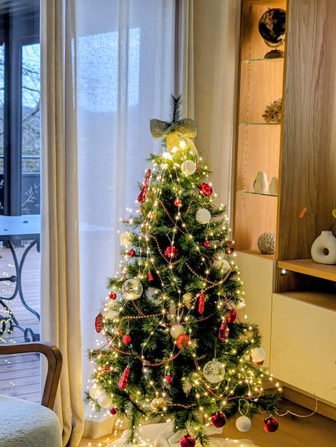 Family home near the lake