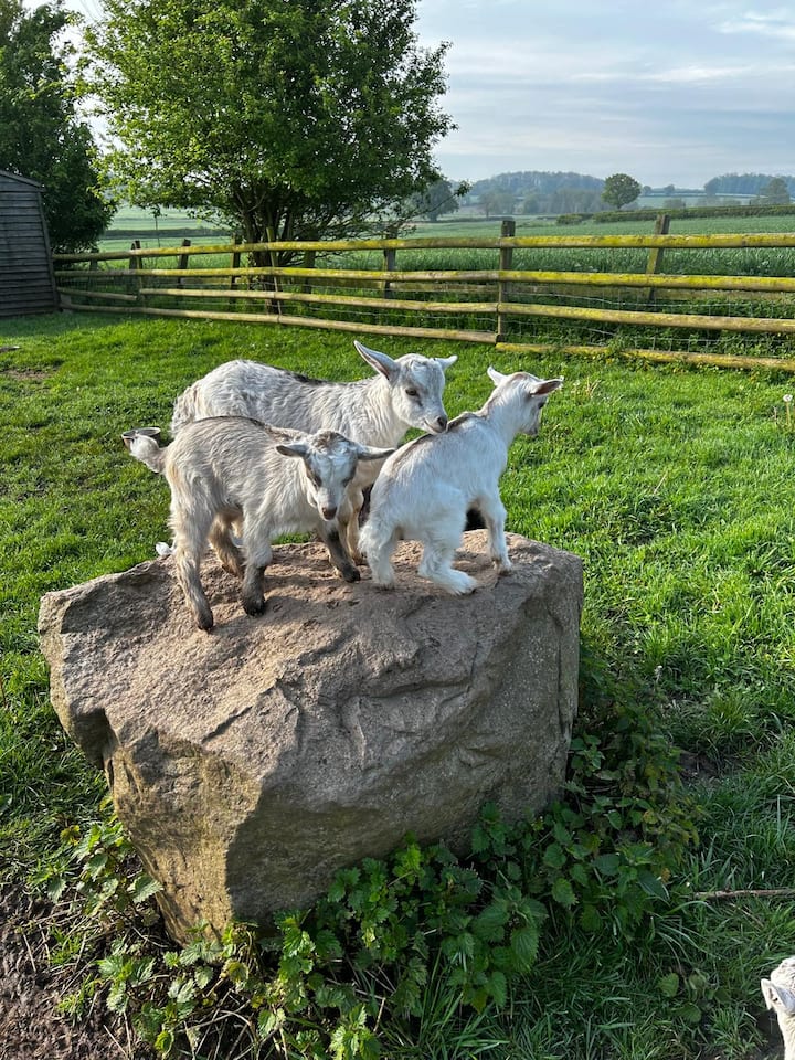 Top House farm shpeherd hut