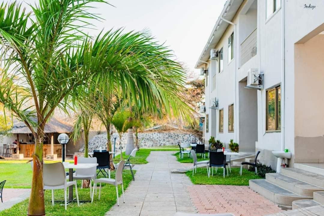 A charming outdoor seating area is surrounded by lush greenery. Several tables and chairs are placed along a paved walkway, with palm trees providing shade. A casual dining setup can be seen in the background, enhancing the inviting atmosphere of the space.