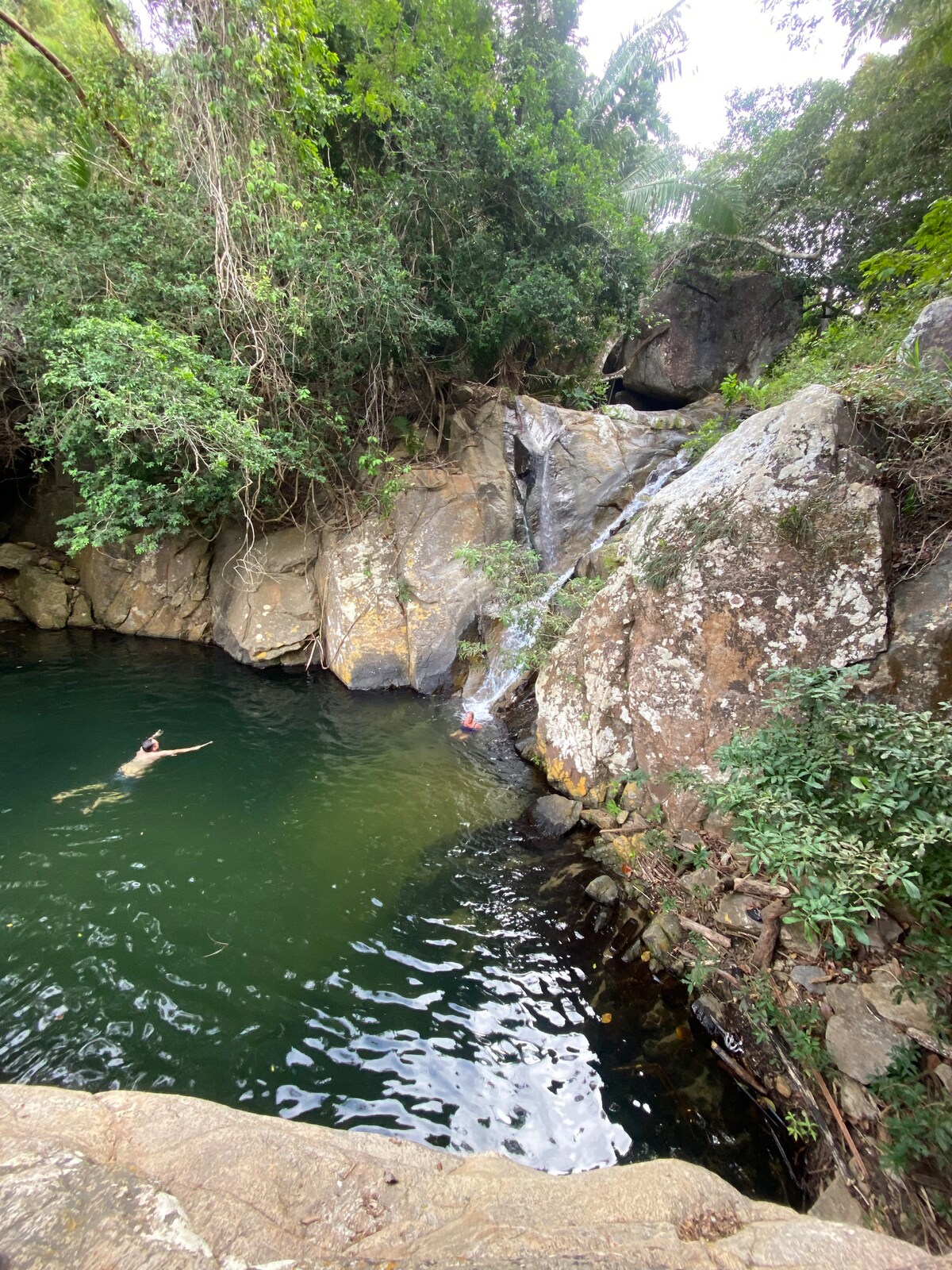 A serene natural setting features a gentle waterfall flowing into a clear, greenish pool, surrounded by lush greenery. A person is seen swimming near the cascading water, while smooth, rocky edges frame the tranquil scene.