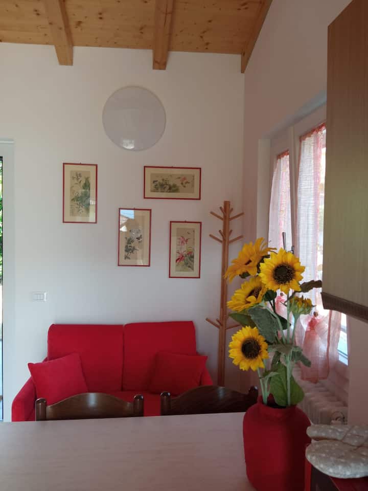 Il Giardino Dei Pompelmi - Lierna - Lierna
