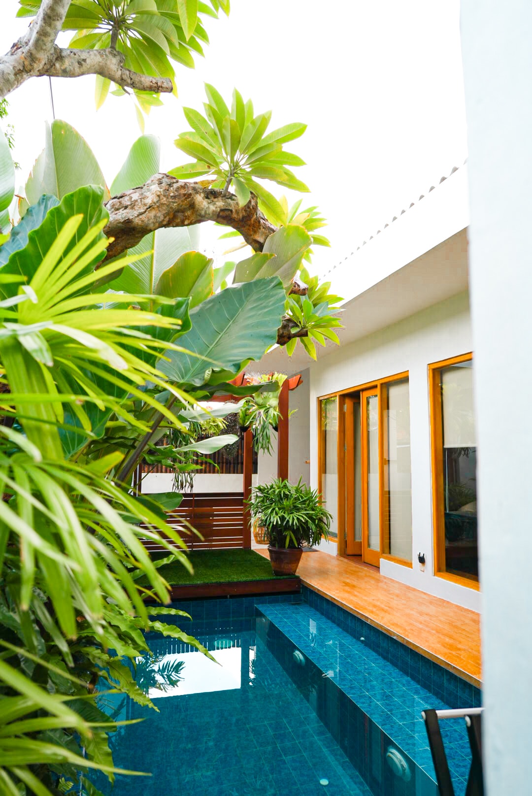A tranquil pool area is surrounded by lush greenery, featuring vibrant plants and tall trees. The water glistens under the natural light, and large glass doors provide a view of the indoor space. Wooden decking enhances the serene environment.