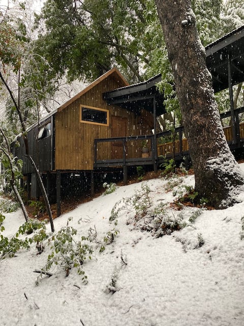 Avellano Cabin in Vilches Alto