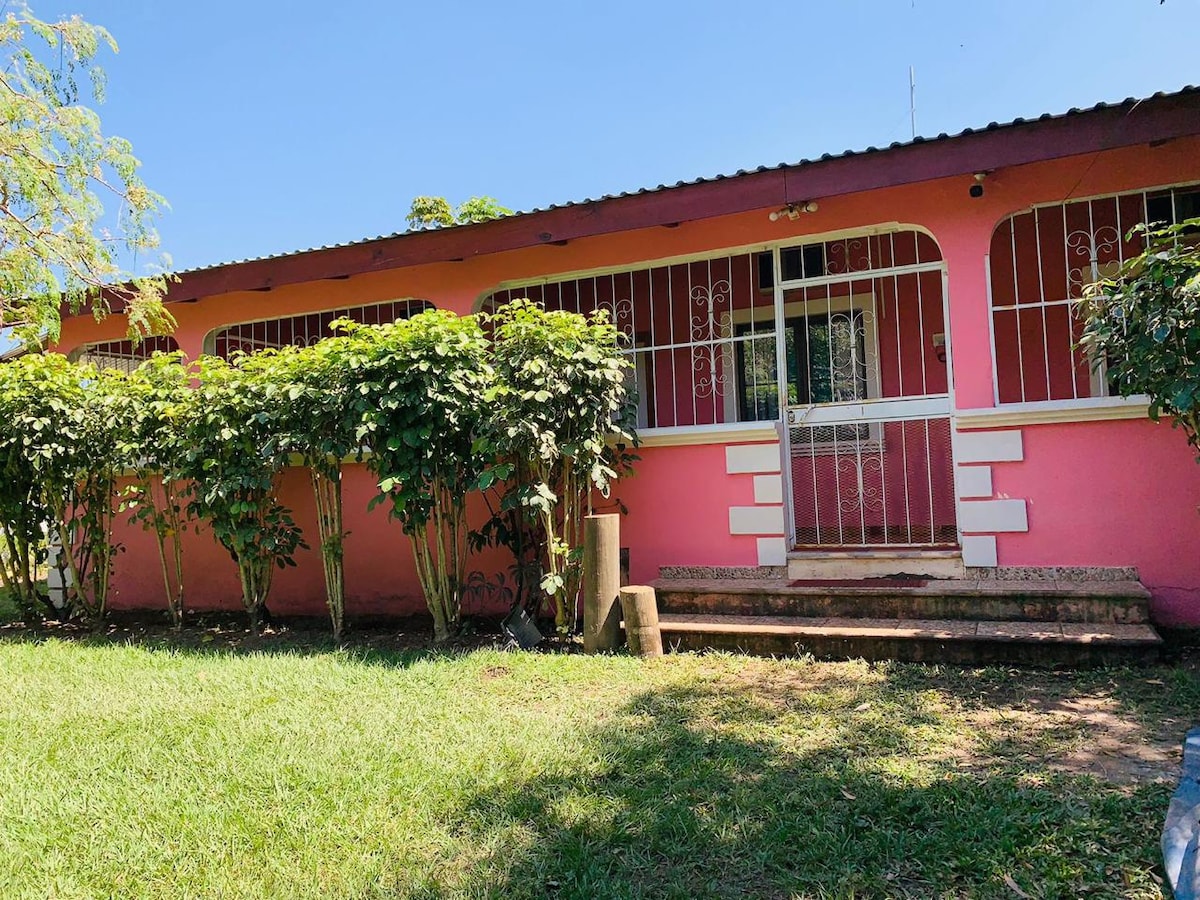 A charming house with a bright pink exterior is surrounded by well-maintained greenery. A gated entrance leads to a small set of stairs, and large windows provide views into the spacious interior. The grassy area in front adds to the inviting setting.