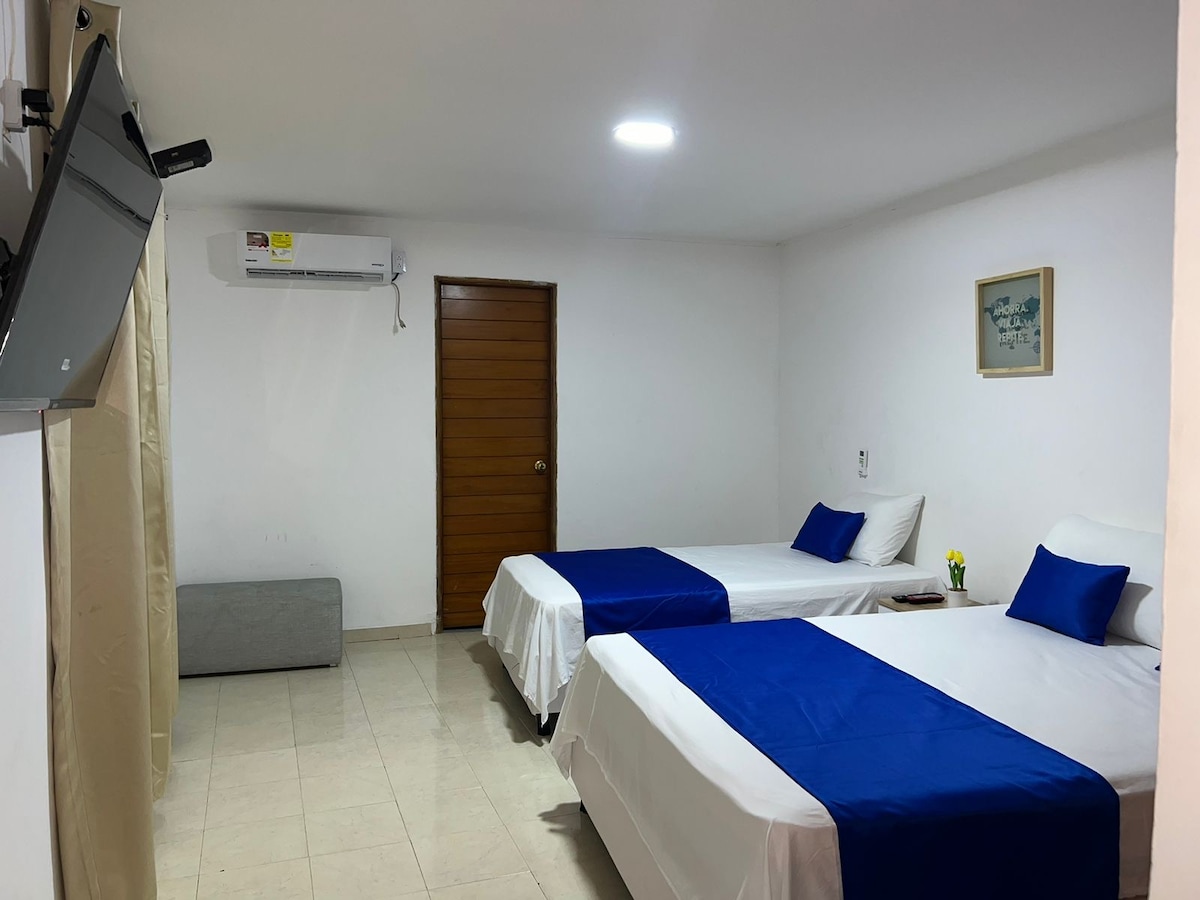 A bright and airy room features two spacious beds dressed in white linens with blue accents. A flat-screen TV is mounted on the wall opposite the beds. A small decorative plant is placed on a bedside table, and natural light enters through the window.