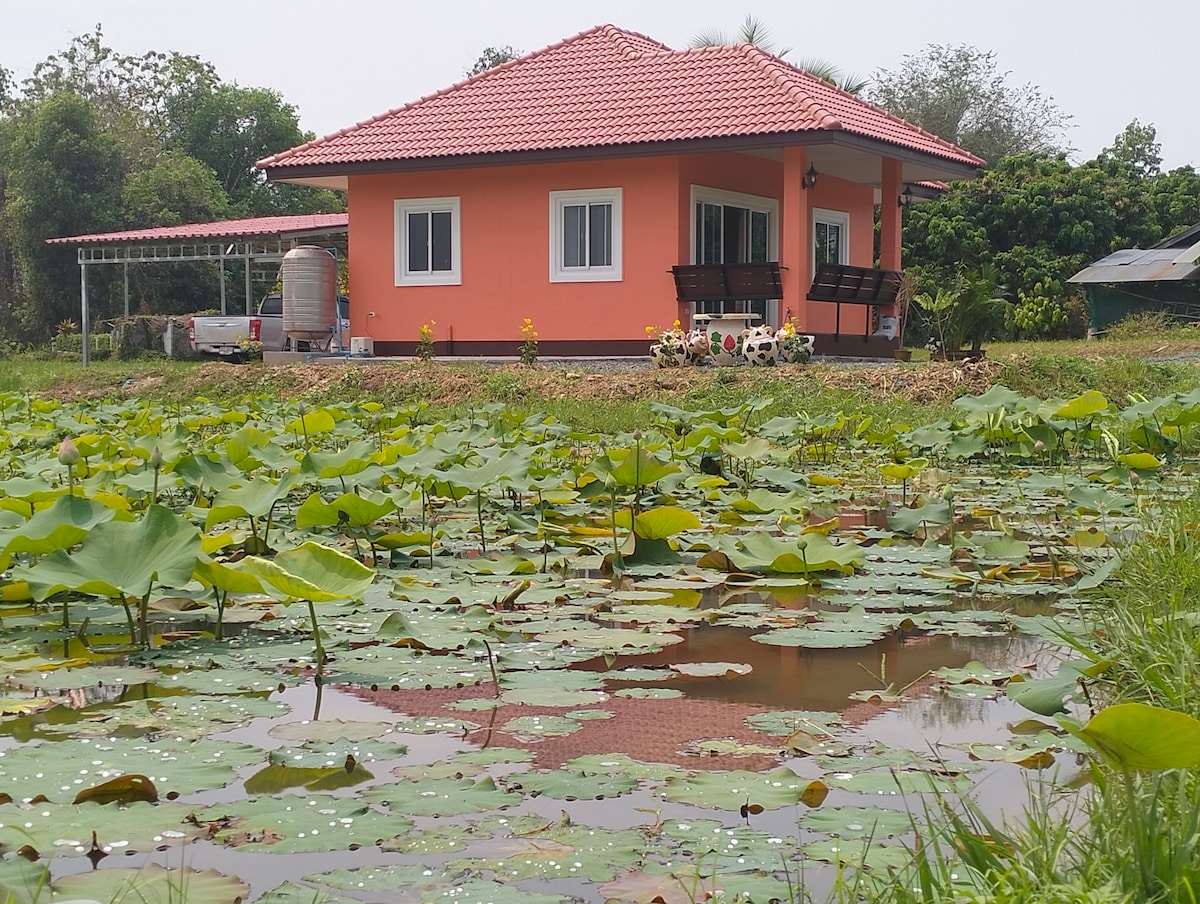 A single-story house with a vibrant orange exterior is situated beside a tranquil lotus pond. Green lily pads float on the water's surface, complementing the serene surroundings. A small porch is visible, featuring two inviting chairs and potted flowers, enhancing the peaceful ambiance of the area.
