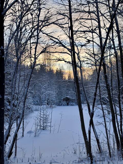 Serene Forest nest: Sauna - terras- Grill
