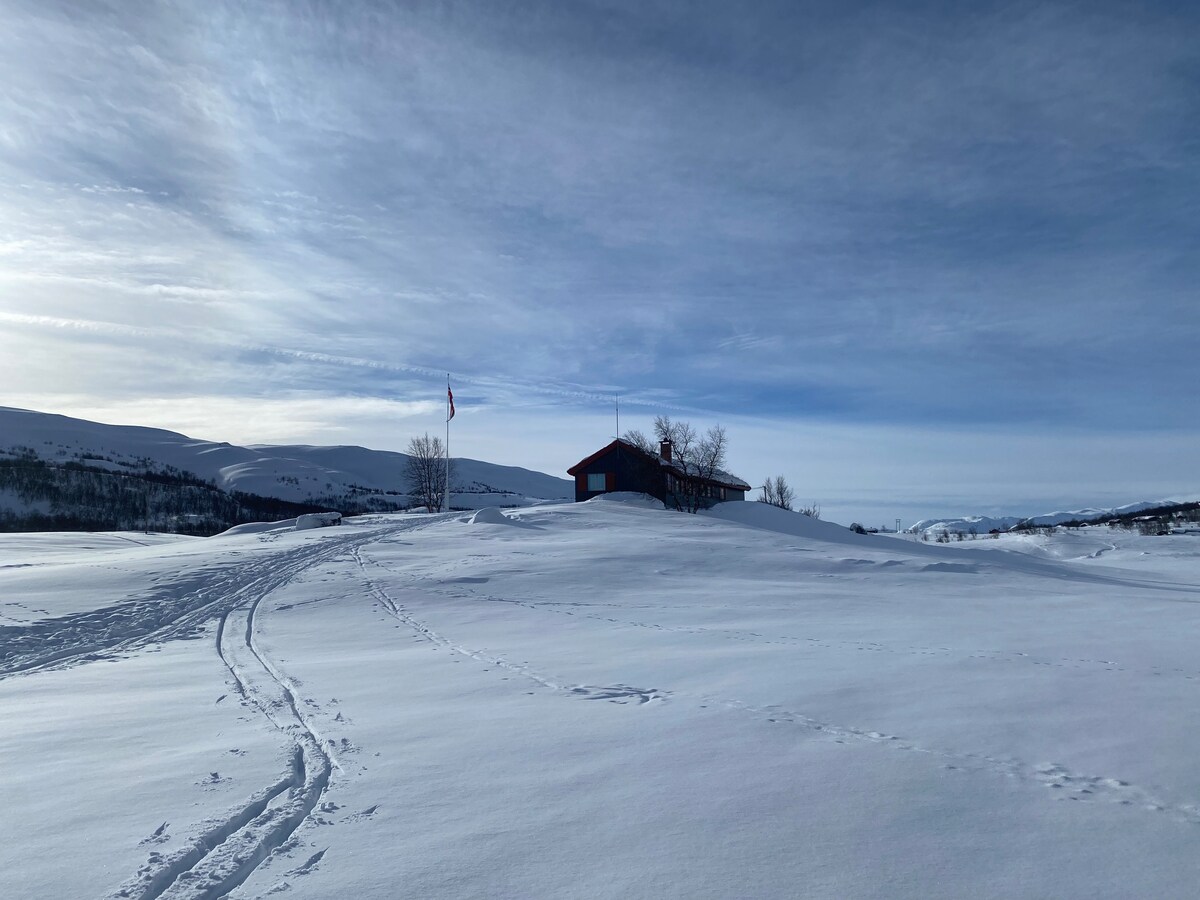The image shows a family cabin set against a backdrop of snow-covered landscape. The structure is partially obscured by white snow drifts, with a flagpole visible nearby. Footprints lead toward the cabin, and distant snow-capped mountains are seen under an expansive sky.