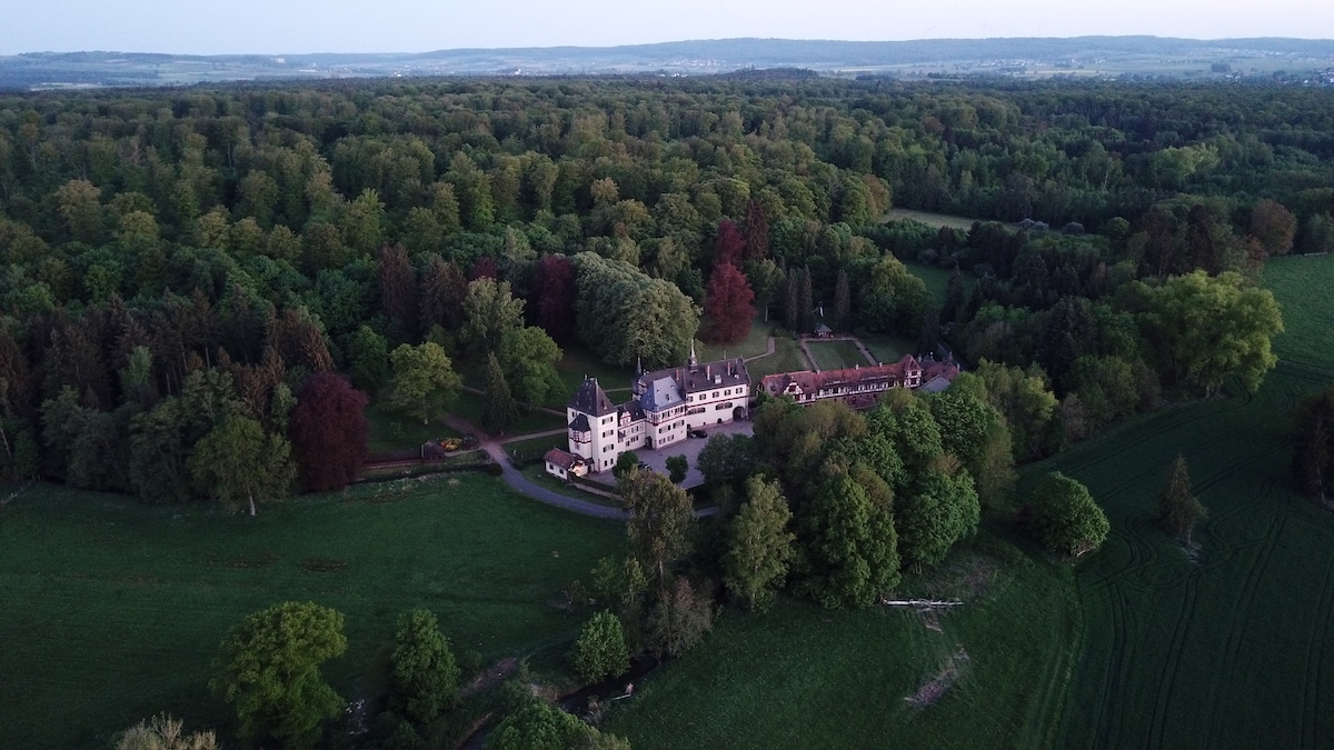 An aerial view captures a historic mill surrounded by lush greenery. The extensive property is nestled within a forest, showcasing an array of trees in various shades. The landscape includes open fields and patches of woods, enhancing the tranquil rural setting.