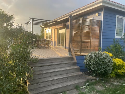 The Blue House