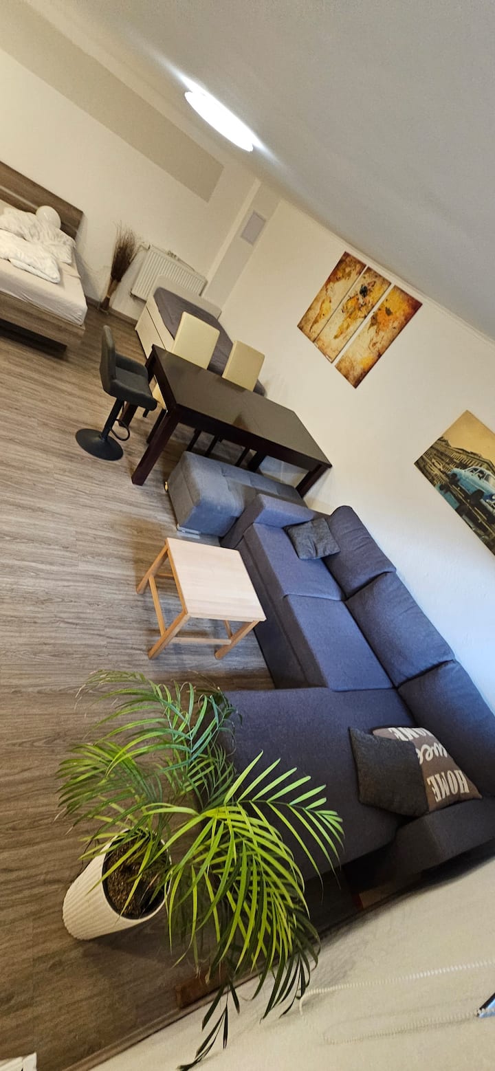 Big Guestroom With New Toilet And Kitchen - Schwabach