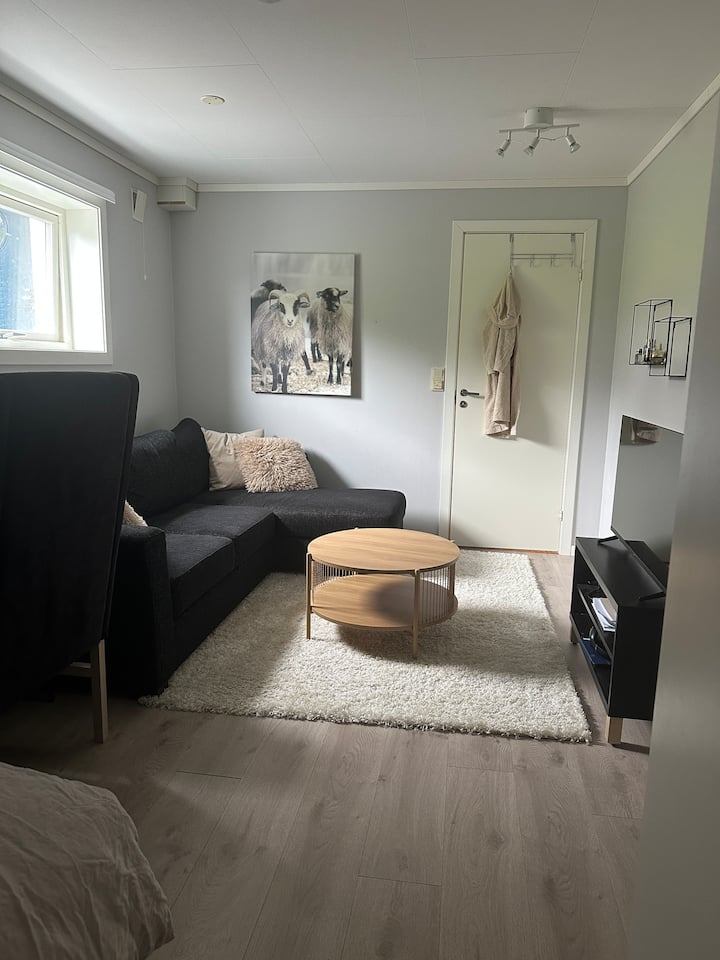 Habitación 2