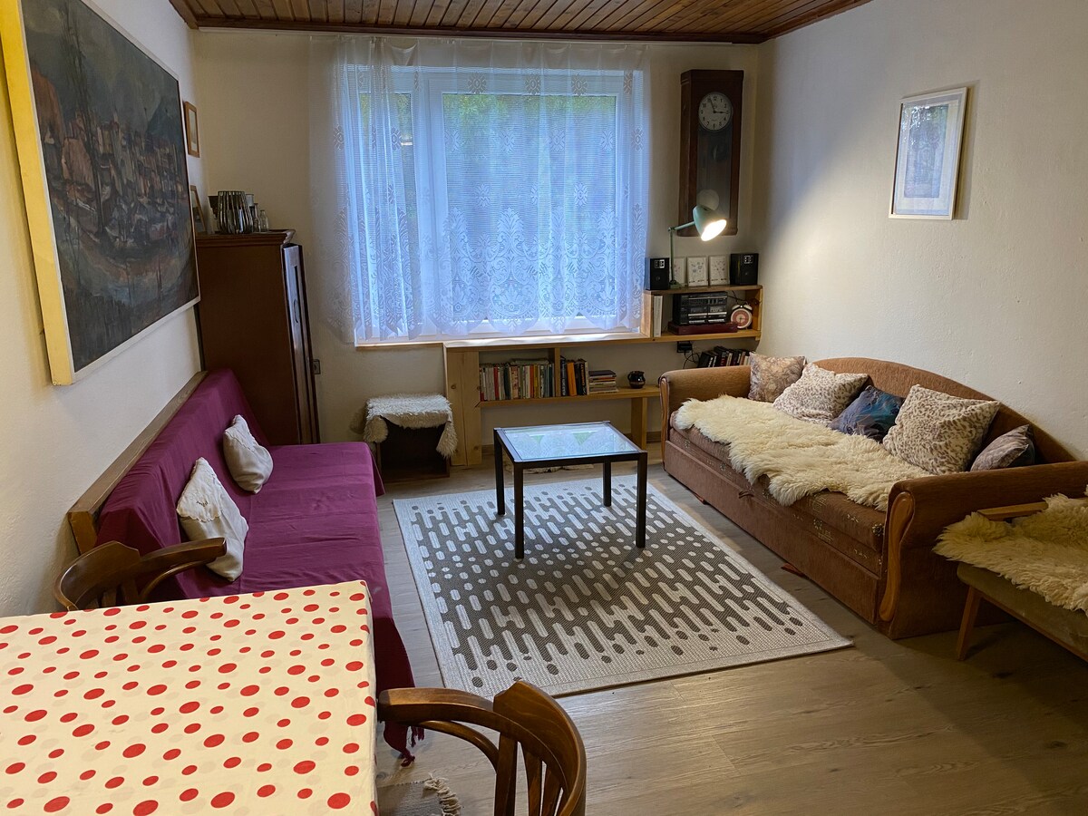 غرفة المعيشة