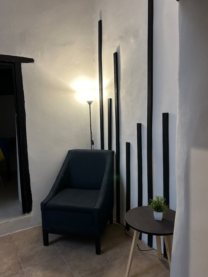 Loft Black&white - Guanajuato
