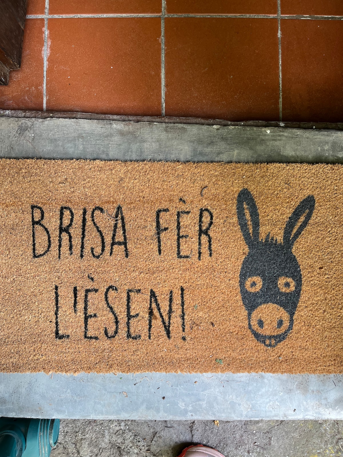 A welcome mat is displayed at the entrance, featuring a simple design with a donkey illustration. The text in a playful font reads 'BRISA FÈR L'ÉSEN!', adding a cheerful tone to the entryway.