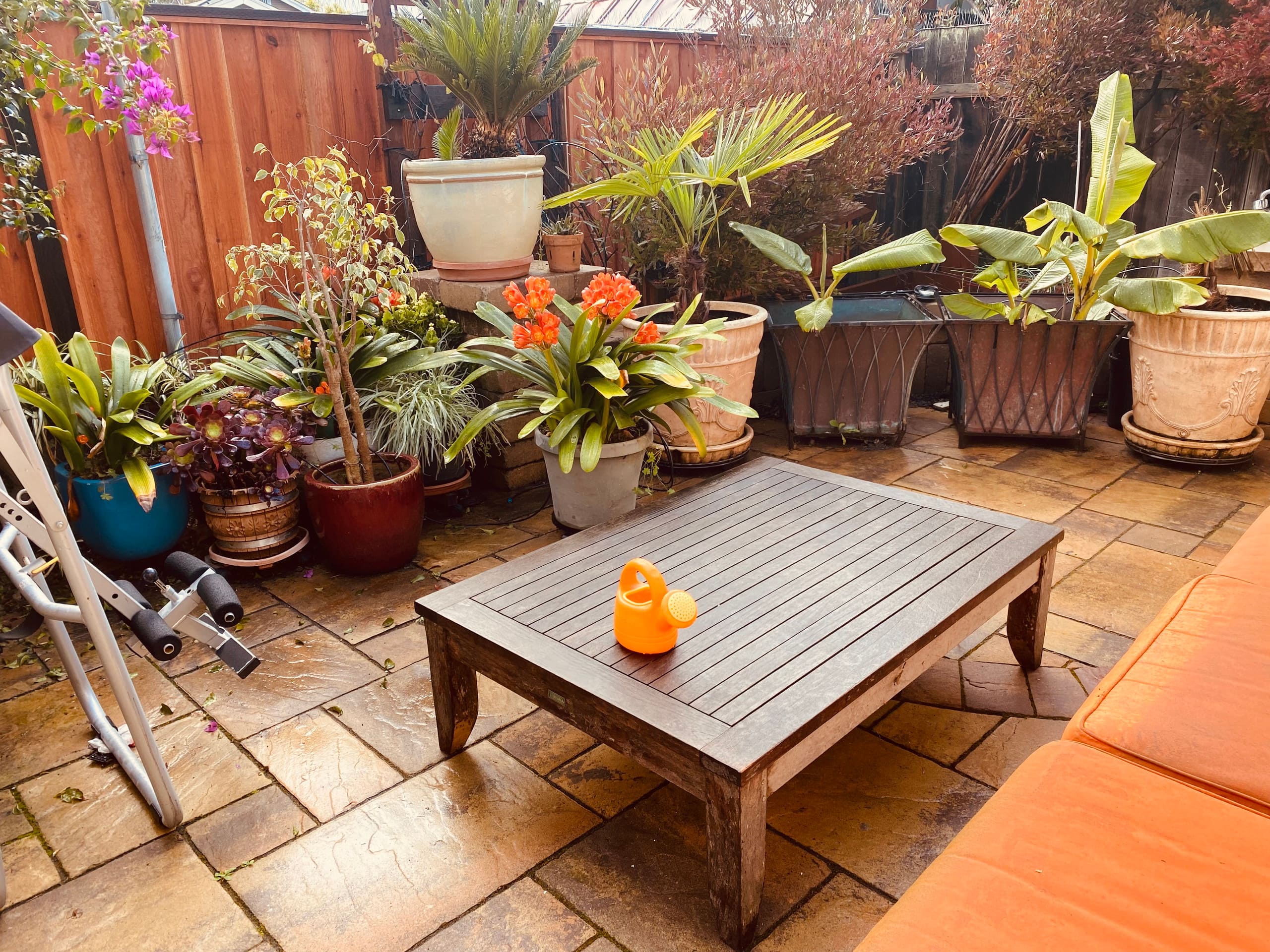 Spacious 5BR Near Downtown, Caltrain & SFO - Photo 39