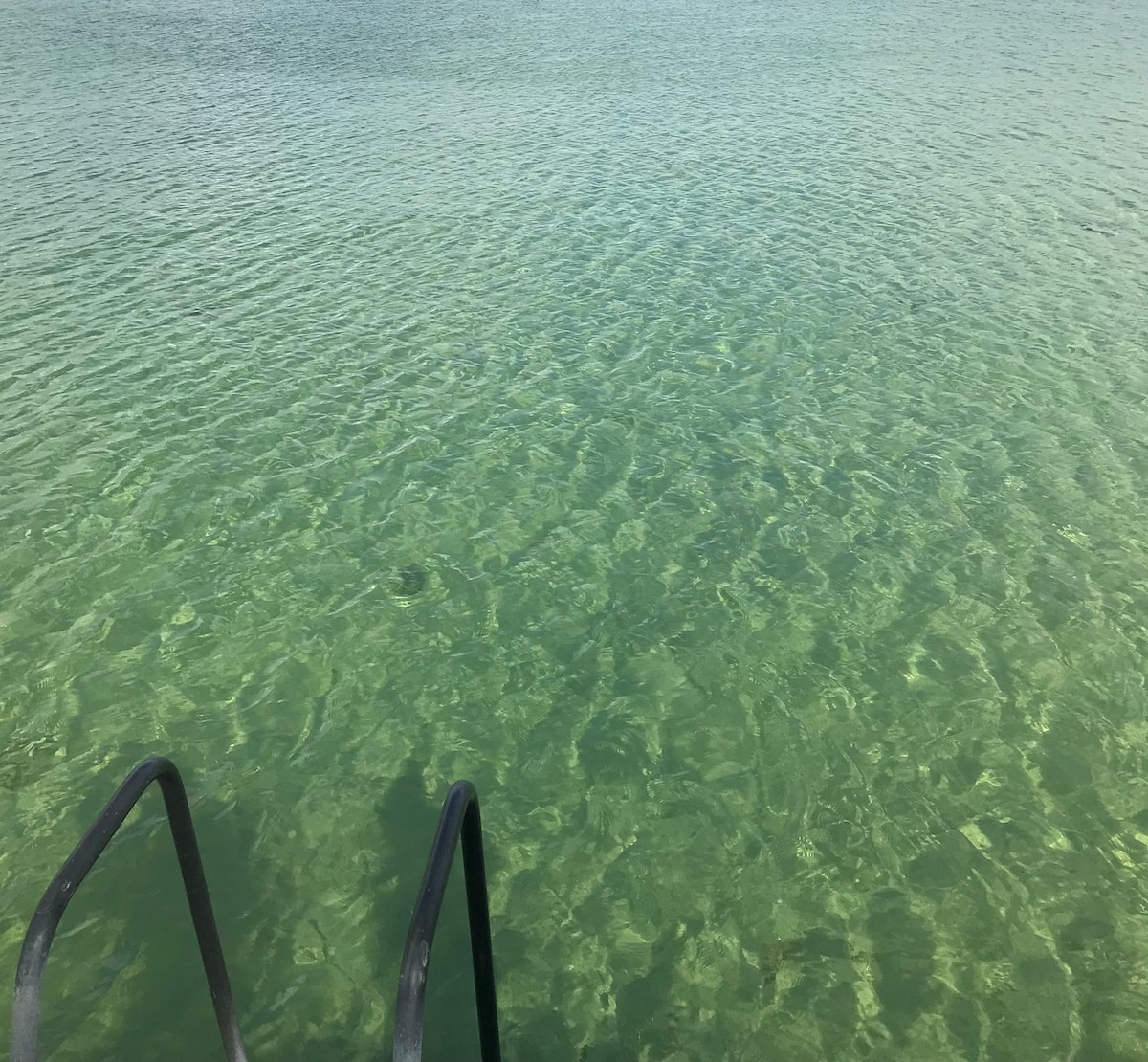 A set of black metal steps leads into clear, calm water, revealing a gentle gradient of green and blue hues. The surface reflects light, creating a serene and inviting atmosphere for relaxation.
