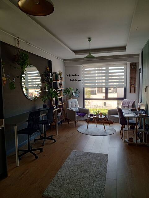 Find Peace in My 1+1 Apartment