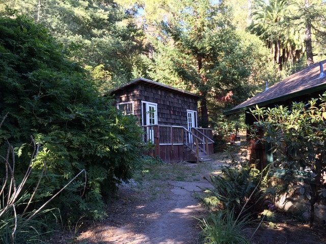 A cozy wood cabin is nestled among lush greenery, featuring a welcoming porch with steps leading to two white-framed doors. The surrounding foliage creates a serene atmosphere, with hints of vibrant plant life and trees visible in the background.