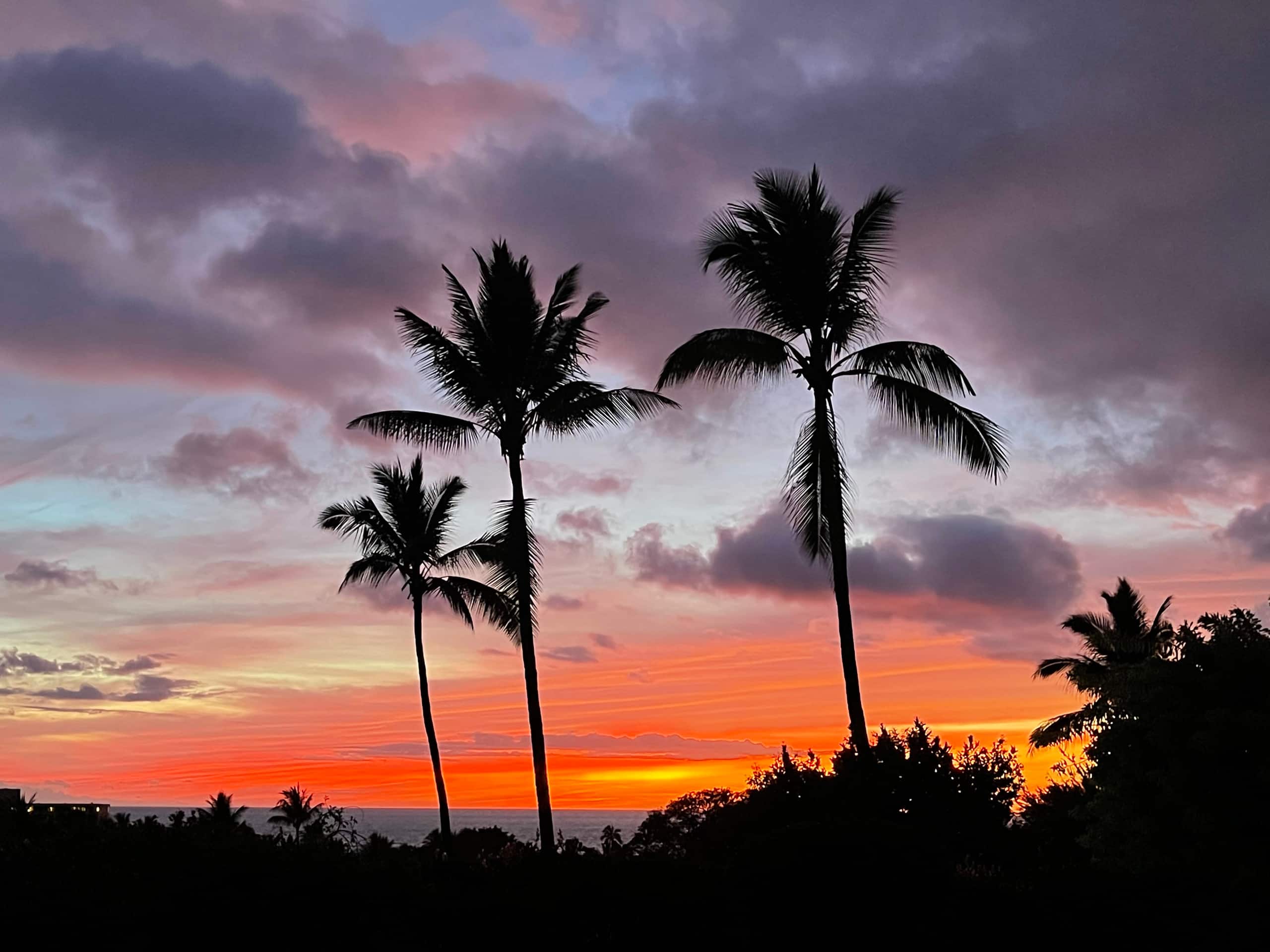 Hidden Gem with Aloha Spirit - Photo 34