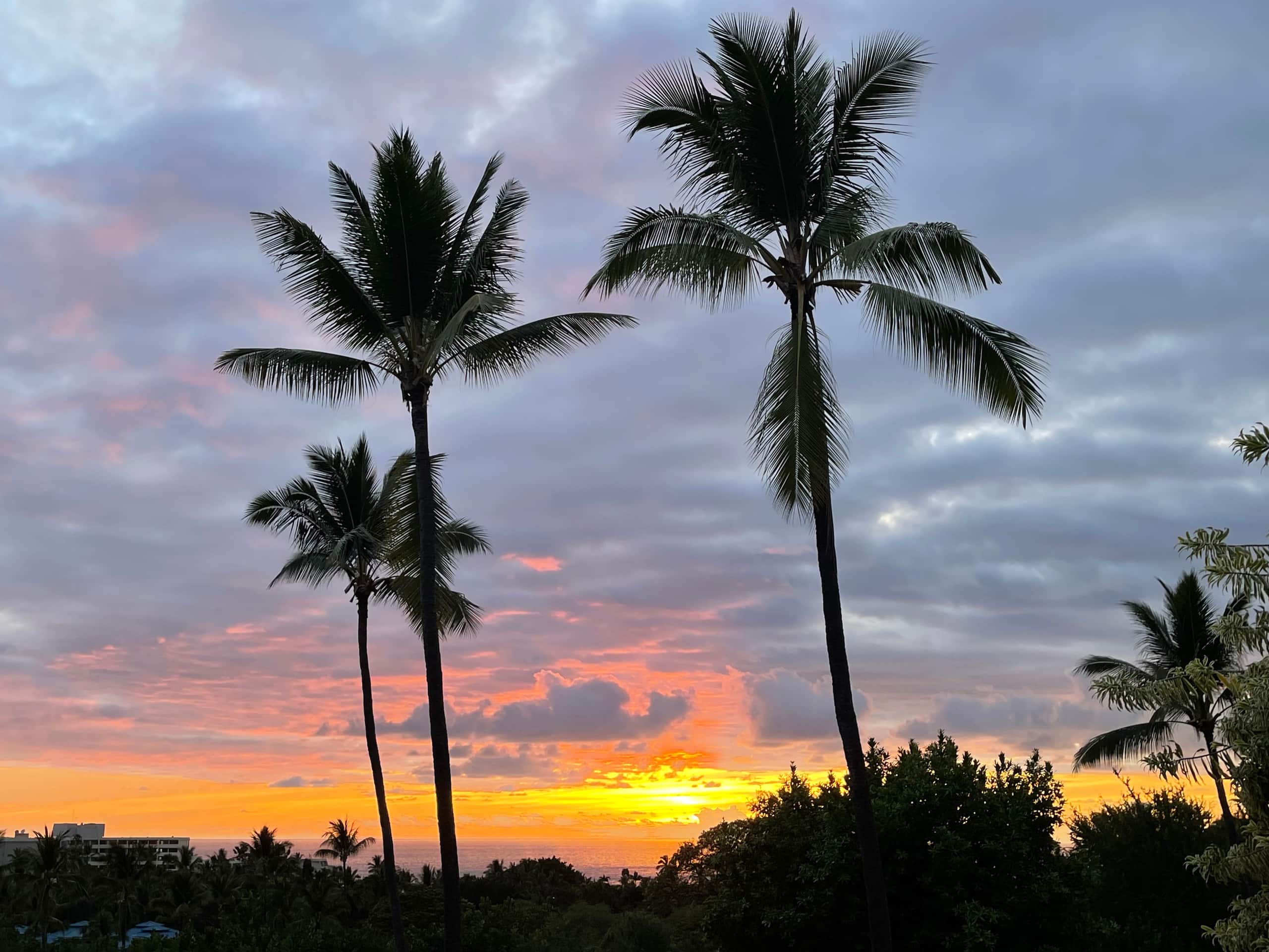 Hidden Gem with Aloha Spirit - Photo 39