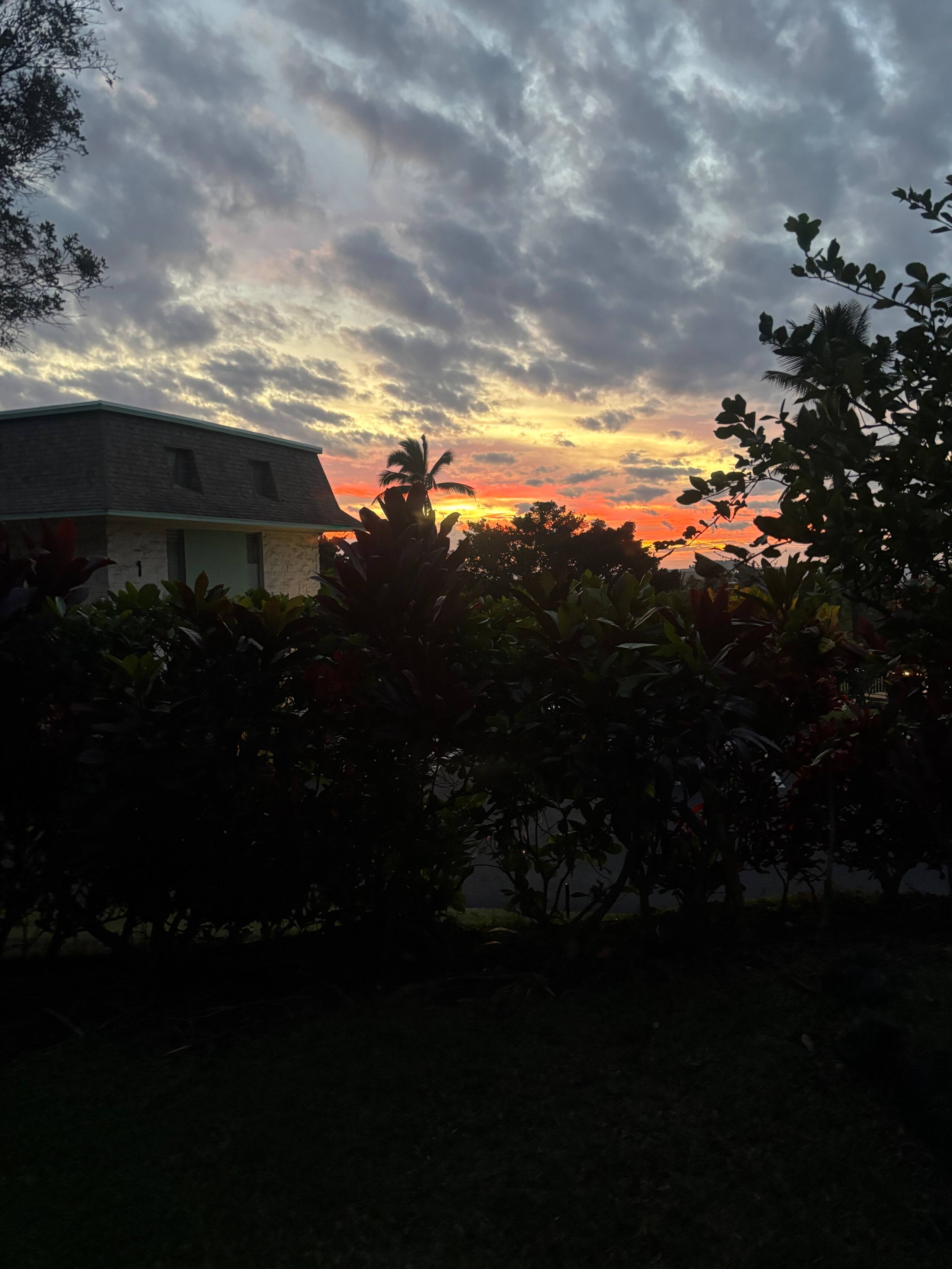 Hidden Gem with Aloha Spirit - Photo 26