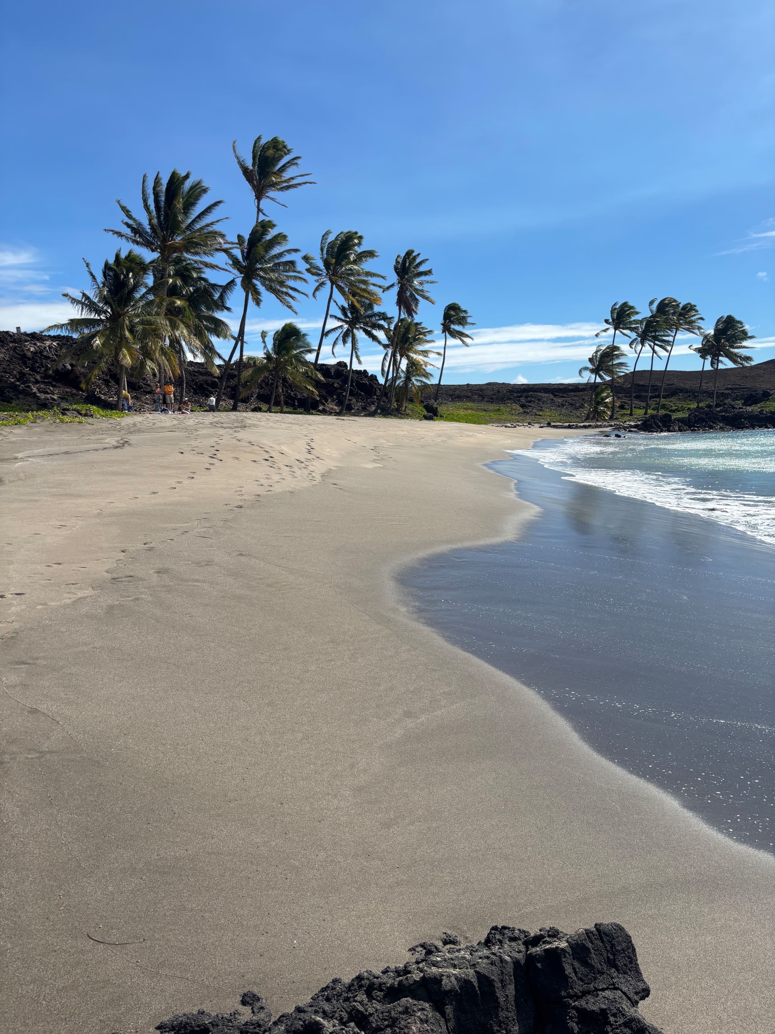 Hidden Gem with Aloha Spirit - Photo 31