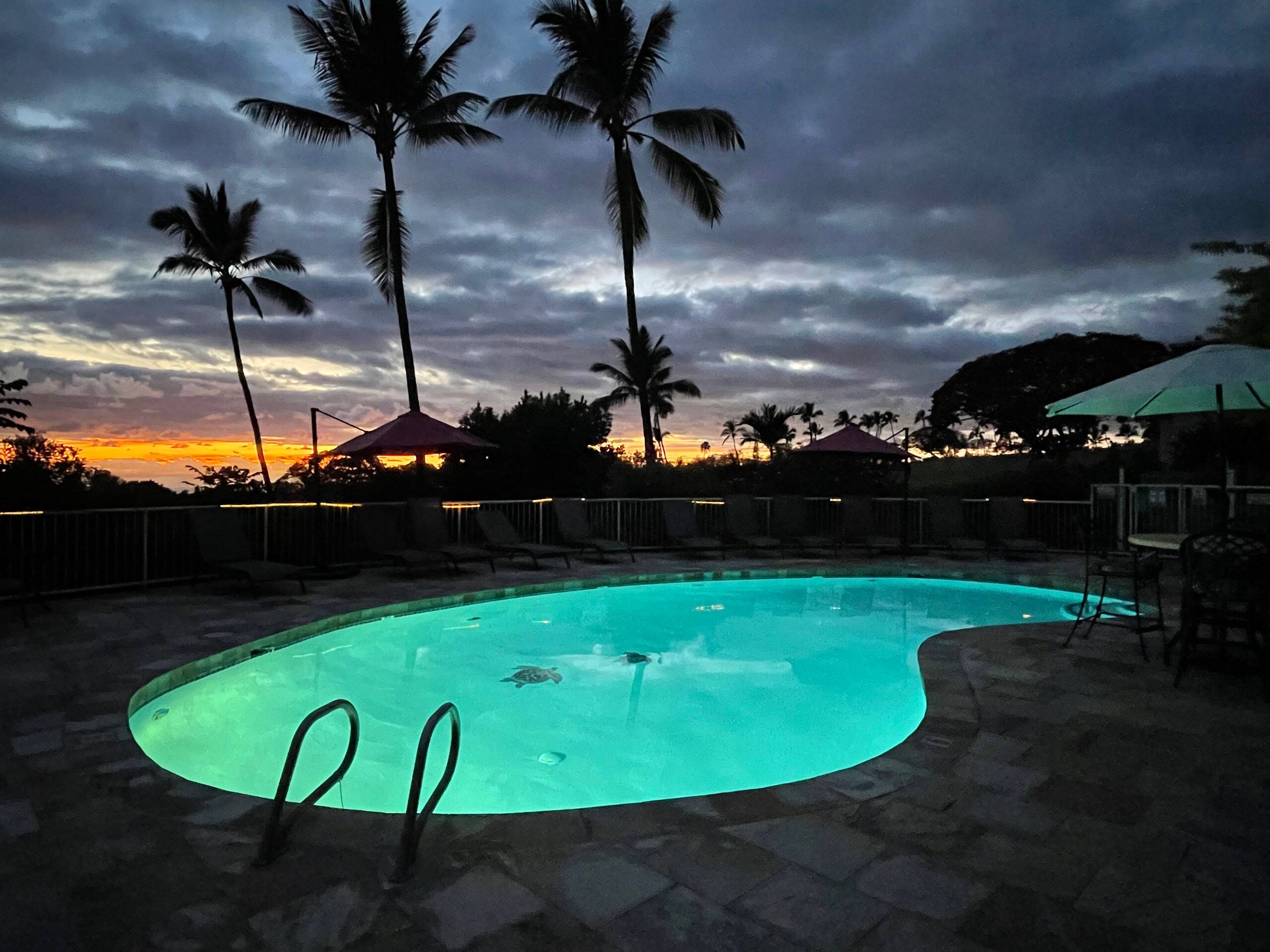 Hidden Gem with Aloha Spirit - Photo 37