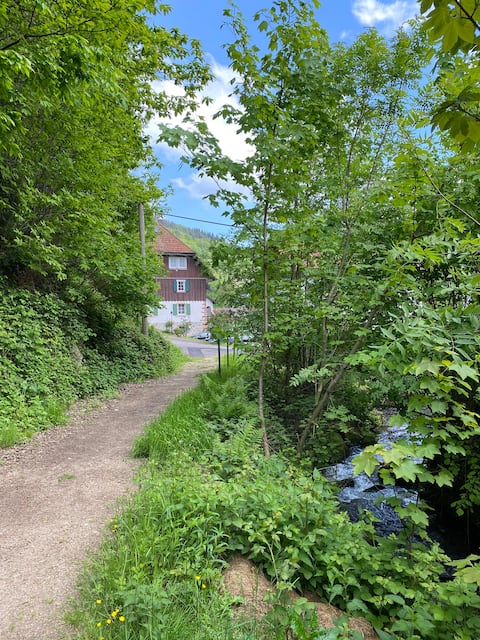 Black Forest Nest XL