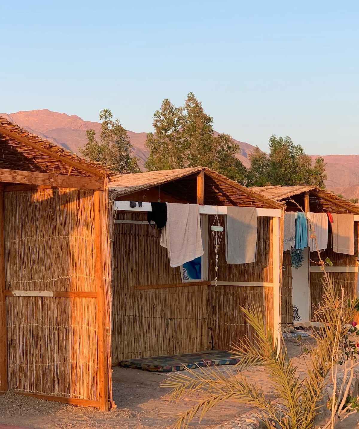 A row of sea view huts constructed with natural materials is displayed. Each hut features a thatched roof and woven walls, with clothes hanging outside. Lush green trees provide a backdrop against the distant mountains under a clear sky.