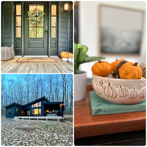 Modern Moose Higgins Lake | HOT TUB | Fall Colors