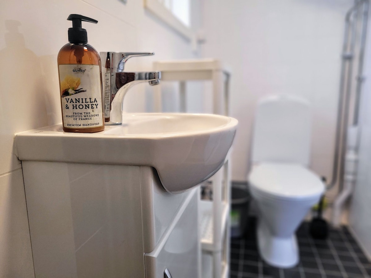 The bathroom features a modern sink with a stylish faucet, accompanied by a bottle of vanilla and honey hand wash. A white toilet is positioned nearby, and the flooring is tiled in a dark pattern, creating a clean and functional space.
