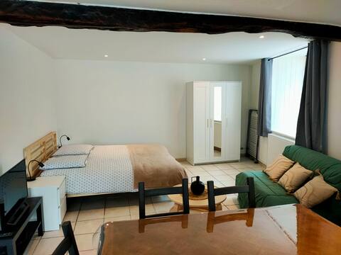 Moirans Studio downtown. Close to central train station