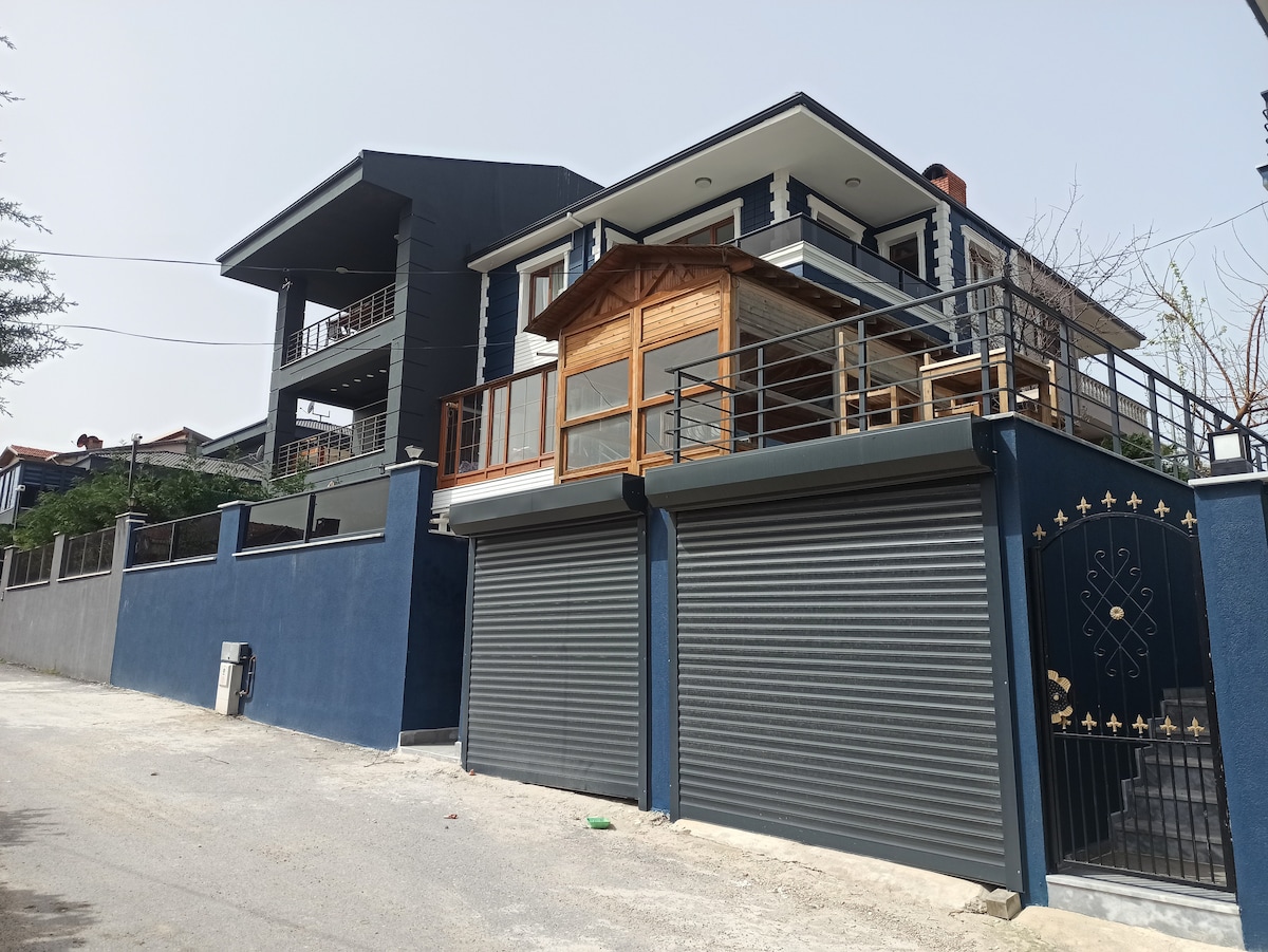 A modern villa is depicted with a spacious balcony adorned with wood accents. The structure features large windows, a covered entrance, and a dual-level design. The exterior is painted in dark tones, complemented by a blue wall and a retractable garage door.