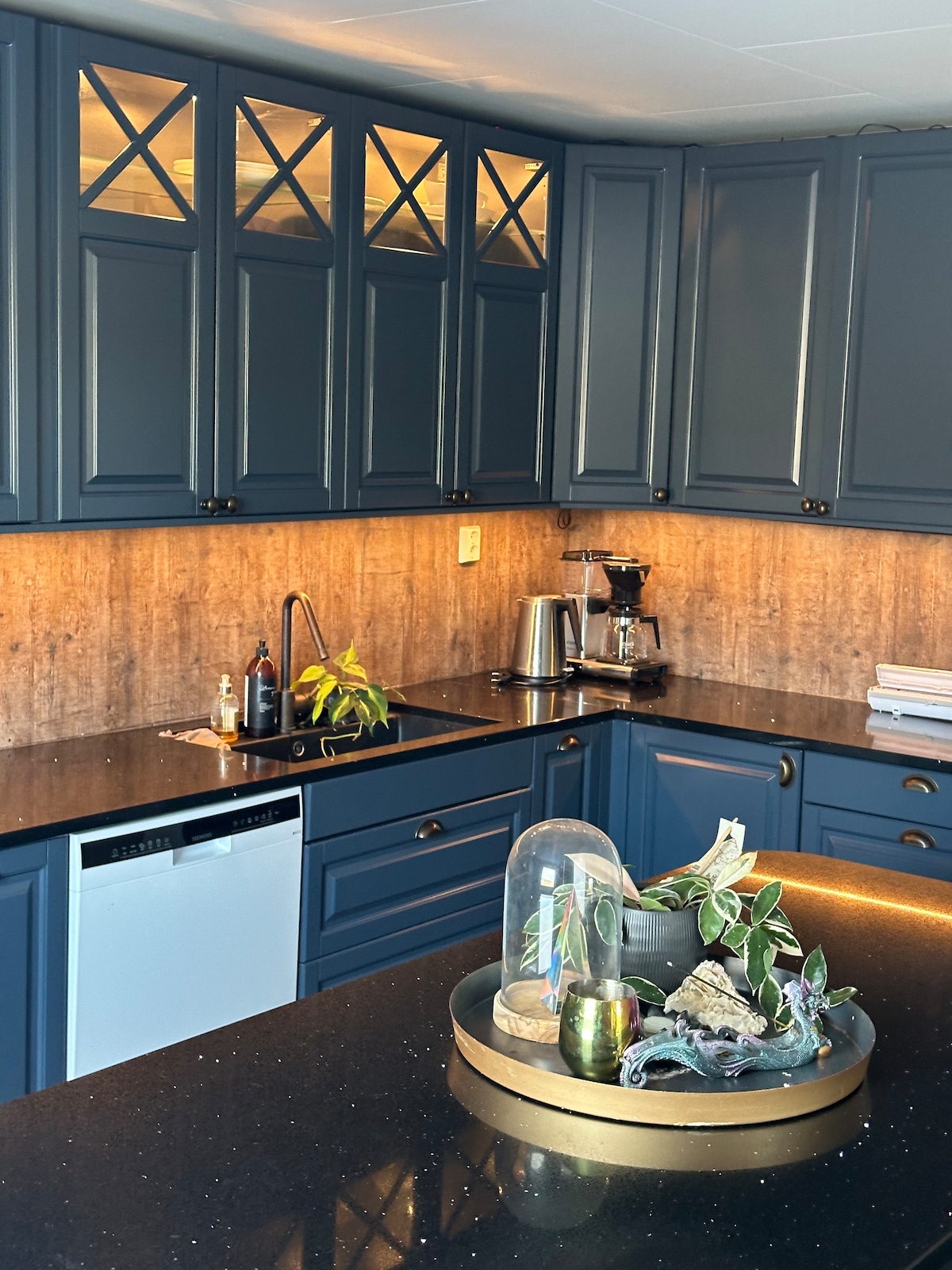 A modern kitchen is presented with navy blue cabinetry, contrasting against a warm wood-paneled wall. A sleek black countertop is complemented by a small decorative tray featuring plants and candles. Appliances, including a coffee maker and dishwasher, are neatly integrated into the design.