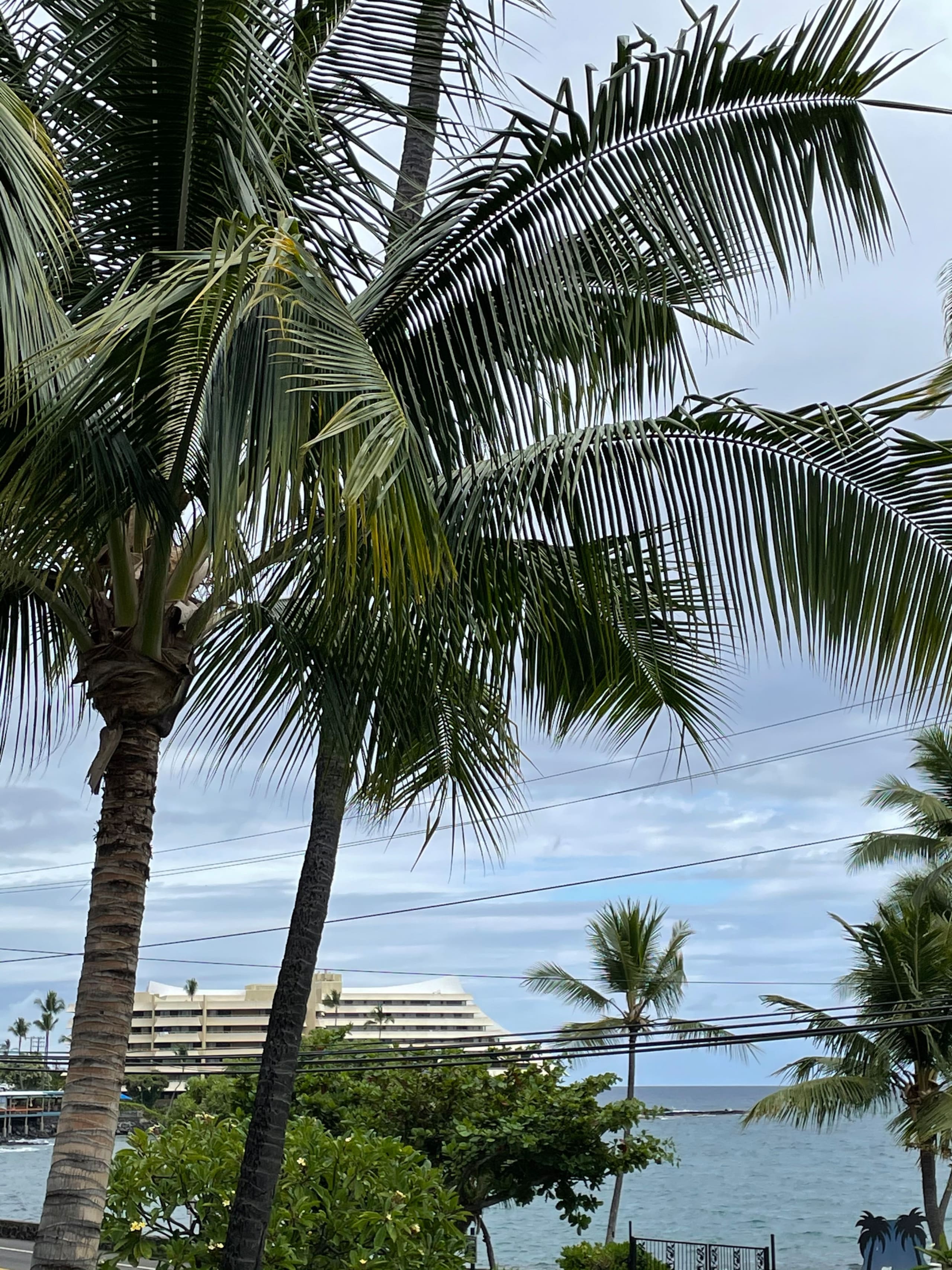 Deluxe Kona Studio by the Ocean. - Image 25