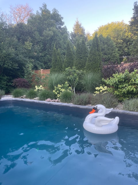 Oasis in Stratford