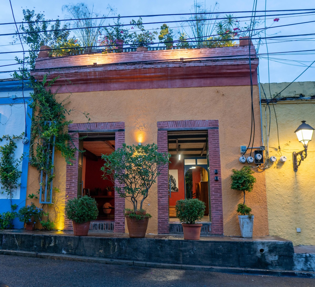 The exterior of a colorful colonial house is illuminated in soft lighting, revealing a welcoming entrance framed by lush greenery in terracotta pots. The roof terrace is adorned with plants, enhancing the vibrant atmosphere of the building.