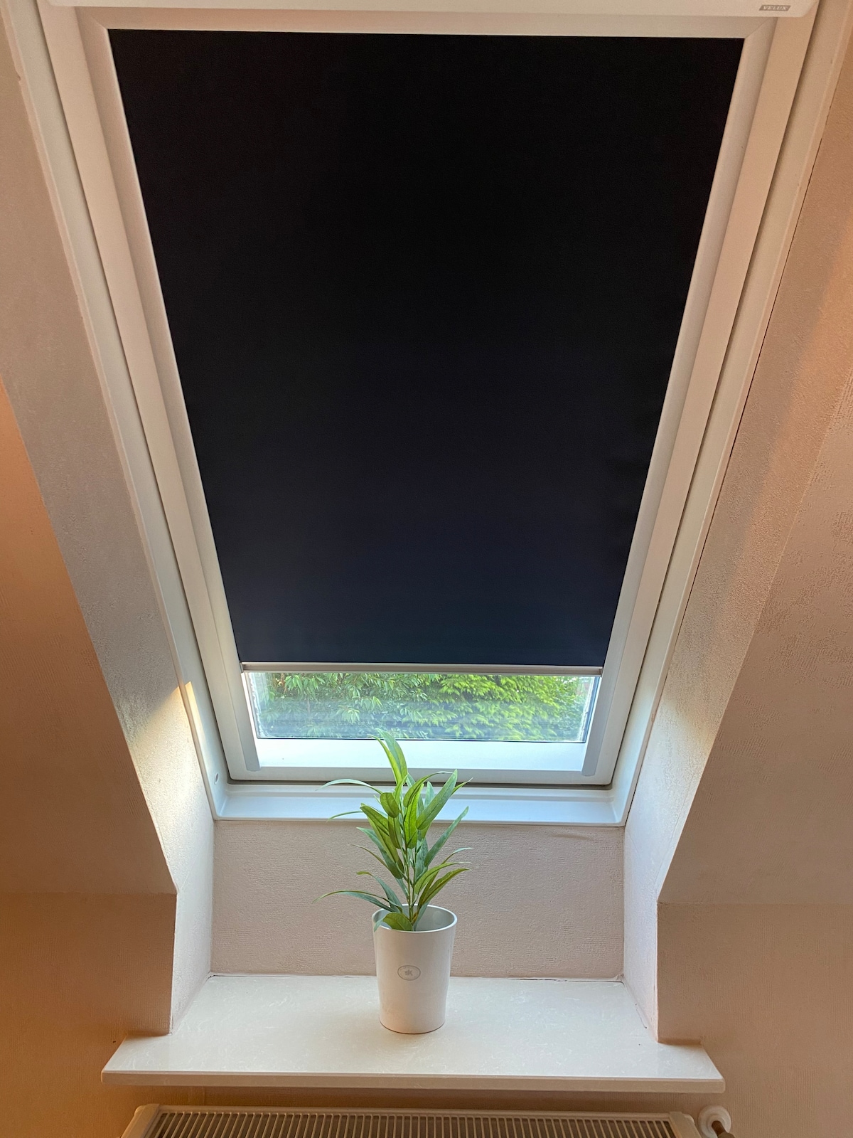 Top performing Airbnb: Heart of the pony farm in Diepholz