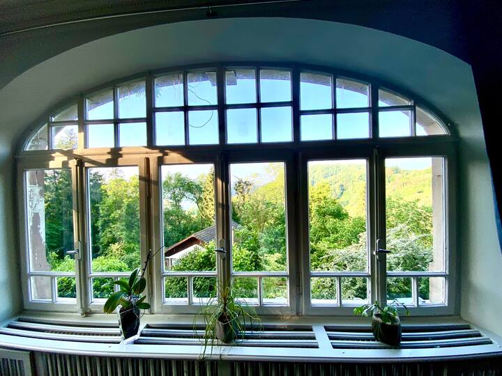 Villa De Charme La Villa Des Oiseaux - La Petite-Pierre