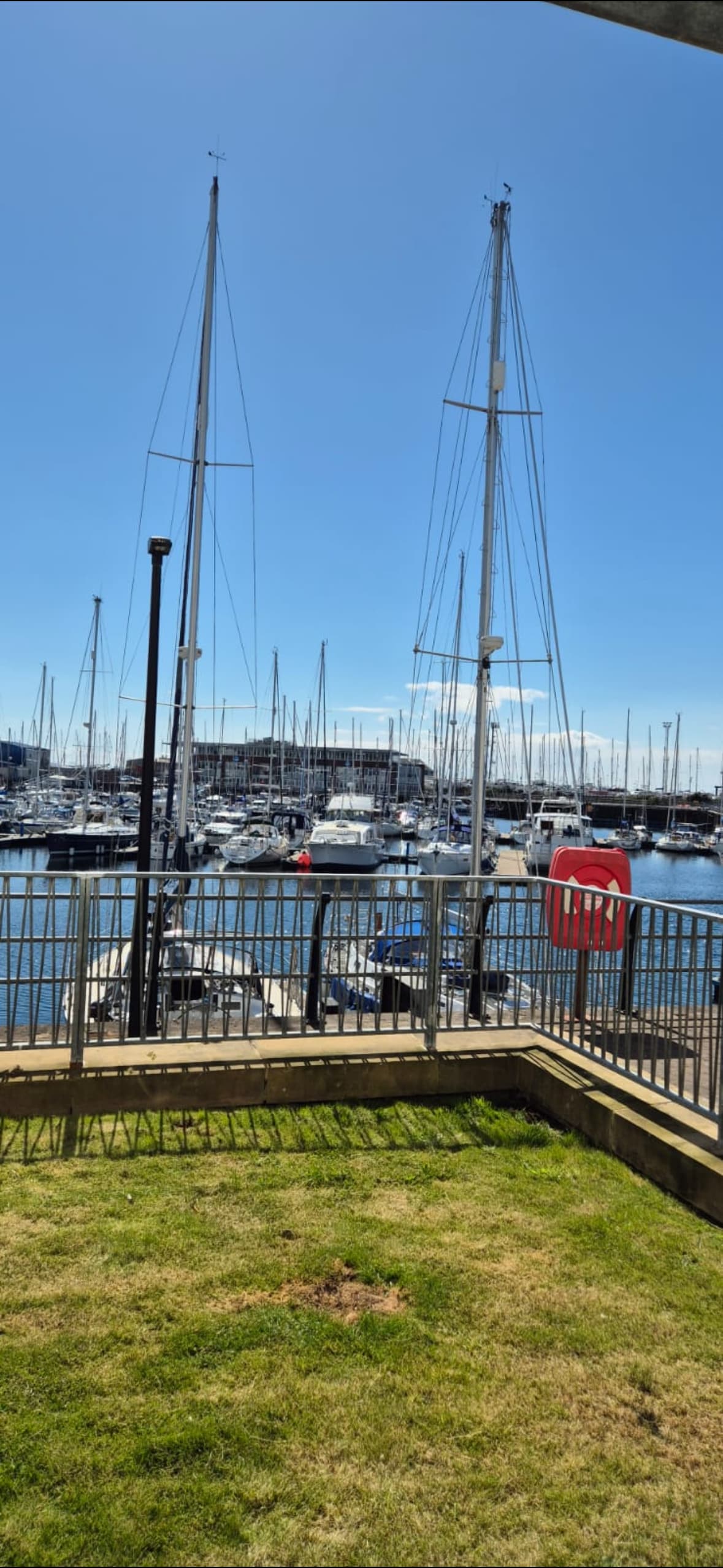 The image captures the marina with numerous boats docked under a clear blue sky. A grassy area is visible in the foreground, leading to a railing that overlooks the water, enhancing the view of the masts rising above the boats.