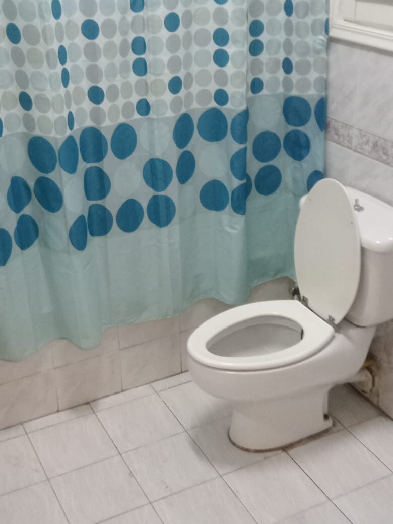 The bathroom features a ceramic toilet adjacent to a light blue shower curtain decorated with circular patterns. Neutral tile flooring extends throughout, complementing the white and light grey wall tiles.